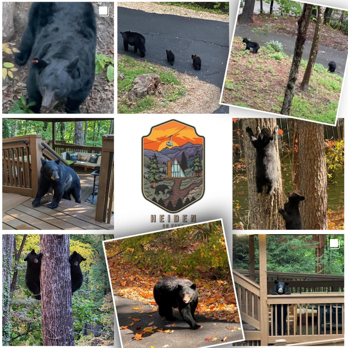 1Mile Downtown, Handicap Ramp, Hot Tub, Game Room Gatlinburg Exterior foto
